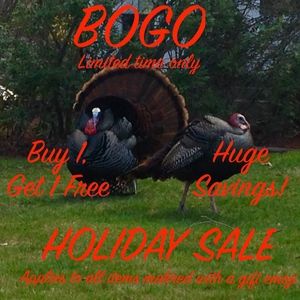WINTER HOLIDAY SALE: buy 1 get 1 free